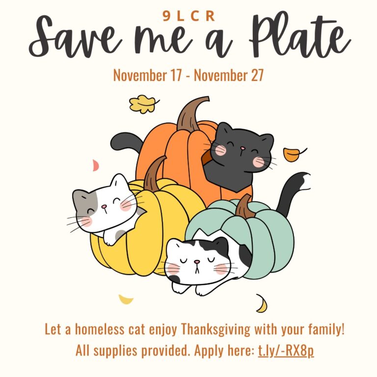 Save me a Plate - 2023 - Social media