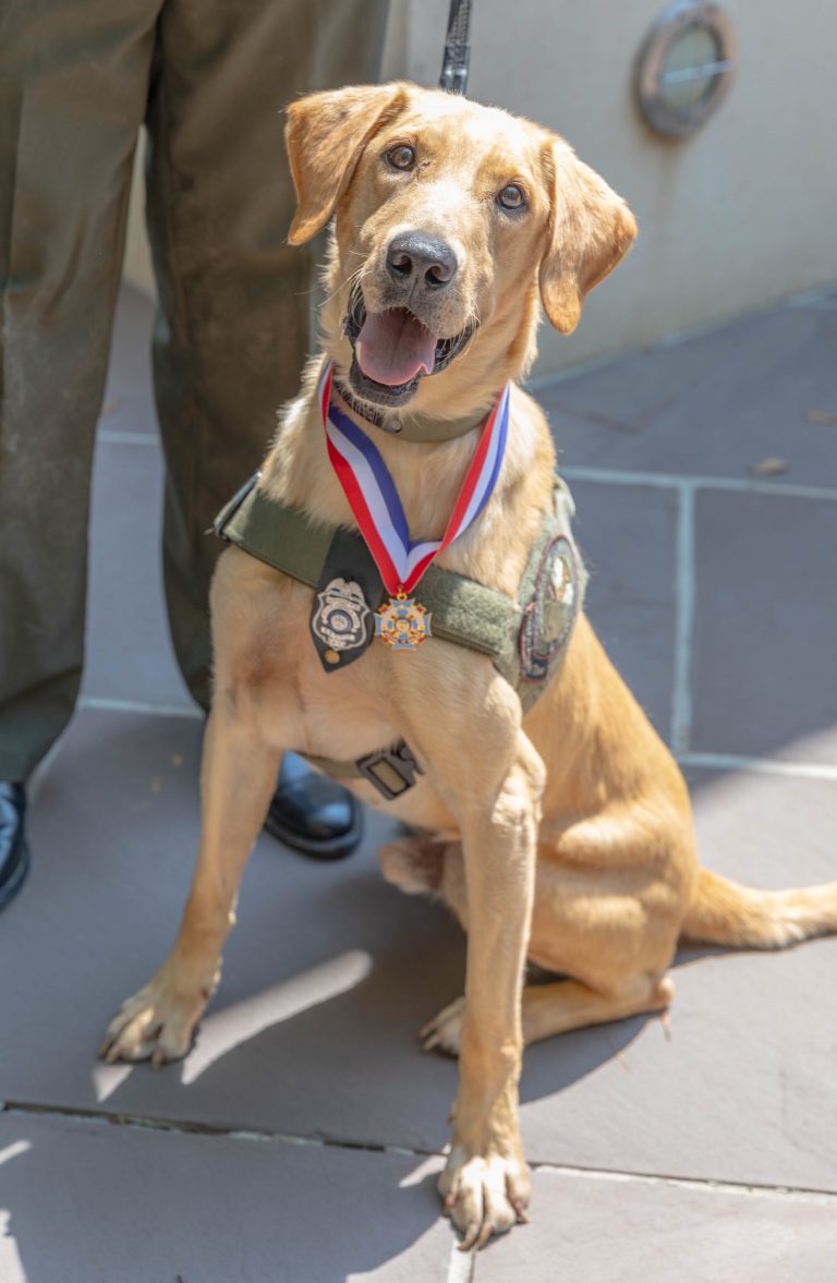 2024 - AUG - Starling & Charlie medal of valor-9