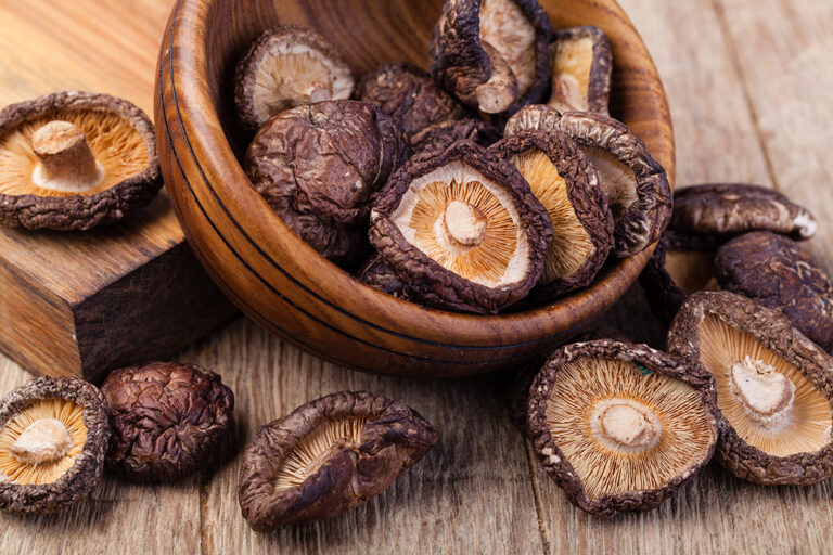 dried shitake mushroom