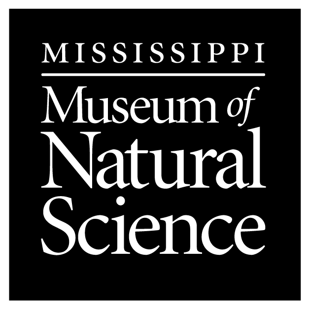 Museum Logo